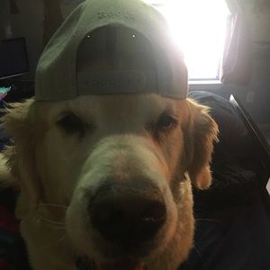 Meet your Posher, Ian